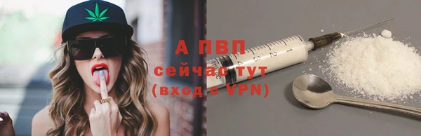 spice Беломорск