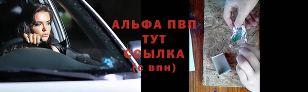 spice Беломорск
