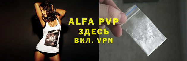 spice Беломорск