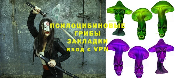 эйфоретик Белокуриха