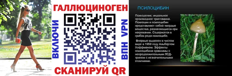 хочу   Кремёнки  Псилоцибиновые грибы Psilocybine cubensis 